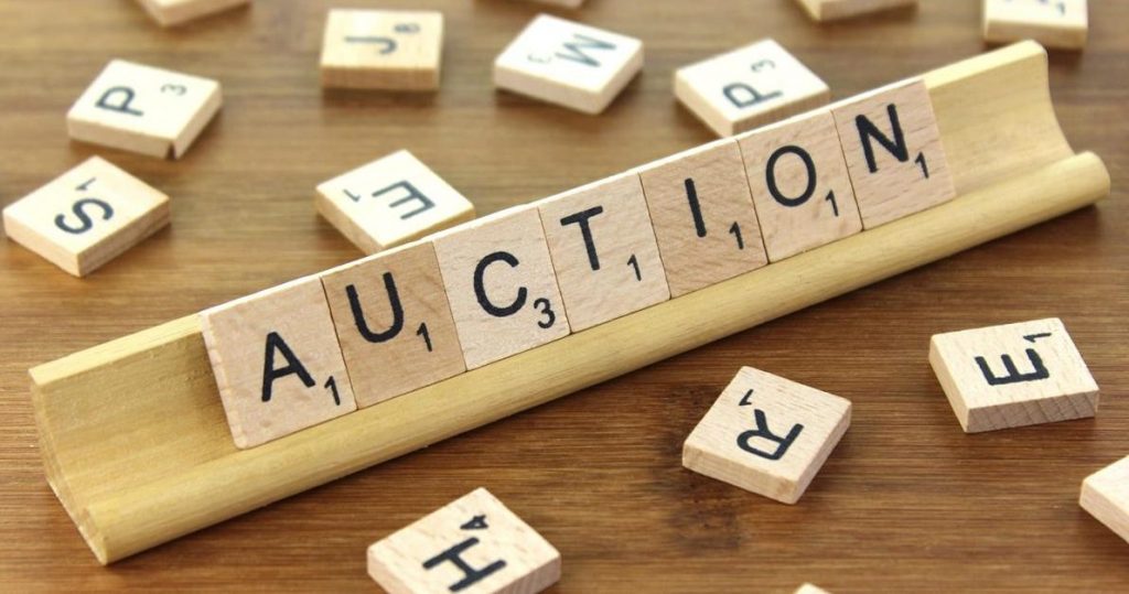 professional auction bidder